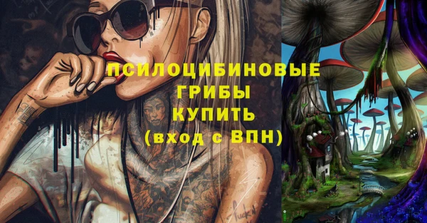амф Костерёво