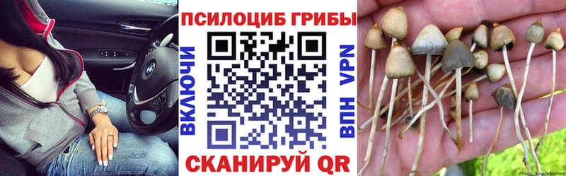 Псилоцибиновые грибы Psilocybe  Ангарск 