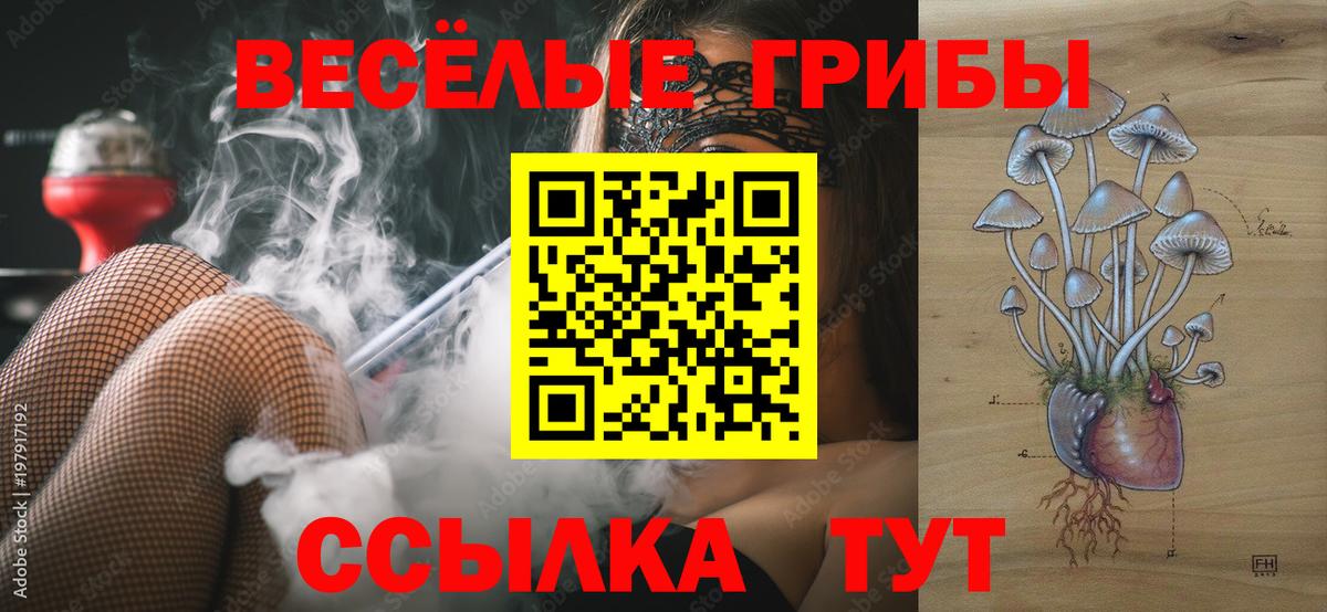 Псилоцибиновые грибы прущие грибы  Вход с VPN  Ангарск 